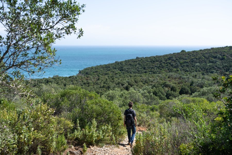 Randonnée à Arrabida jusqu'à la praia dos Coelhos