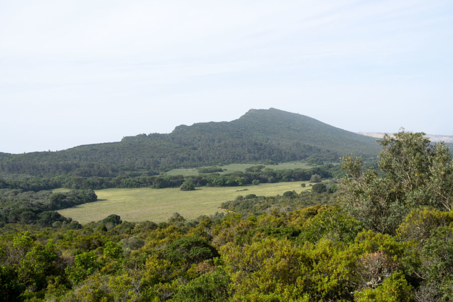 Randonnée sur la Serra do Risco, Arrabida