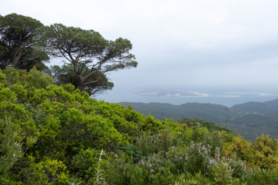 Randonnée sur la Serra da Arrabida près de Setubal