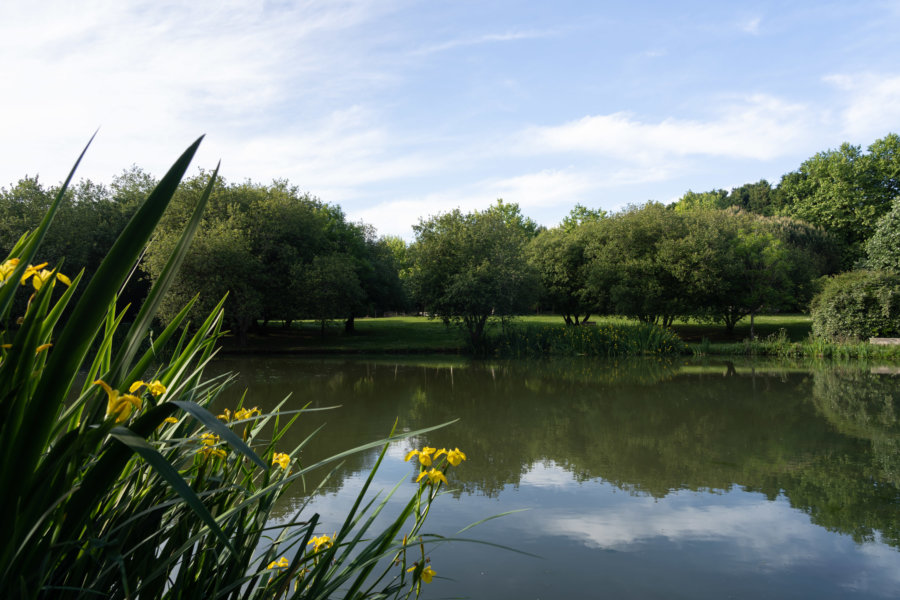 Parc de la ville à Foz do Douro