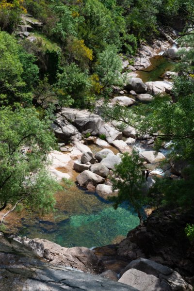 Le Bosquet de Forêt Mixte - Peneda-Gerês