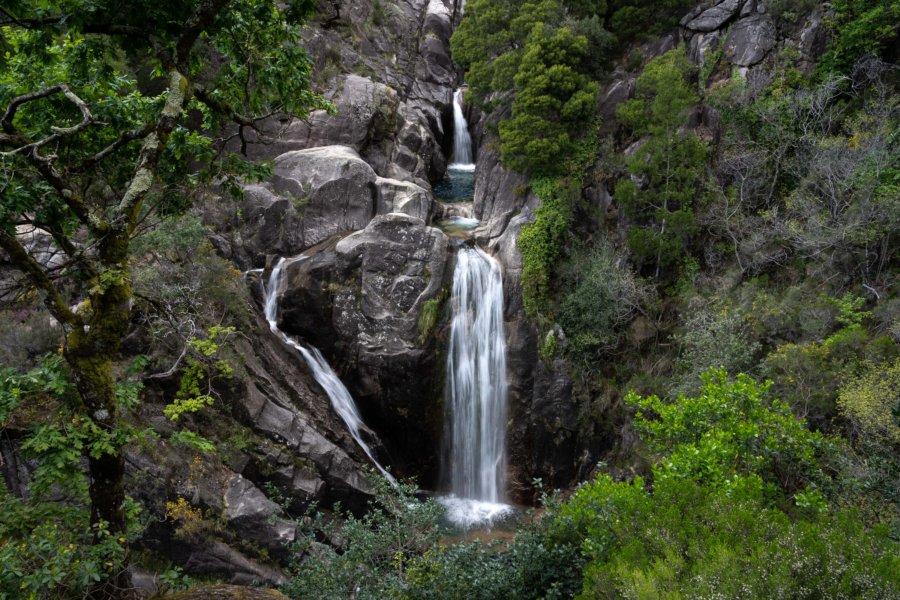 Le Bosquet de Forêt Mixte - Peneda-Gerês