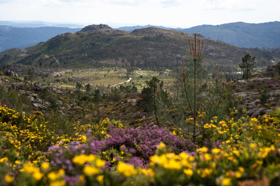 Randonnée à Peneda Geres au printemps