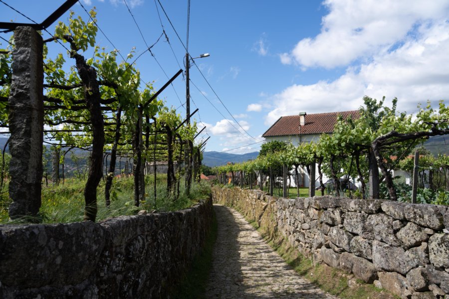 Randonnée à Soajo, Caminhos do pâo e caminhos da fé