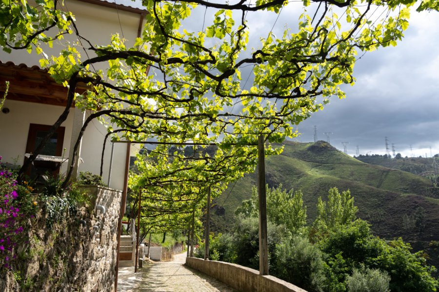 Sentier sous les vignes vers le pont de Misarela au Portugal