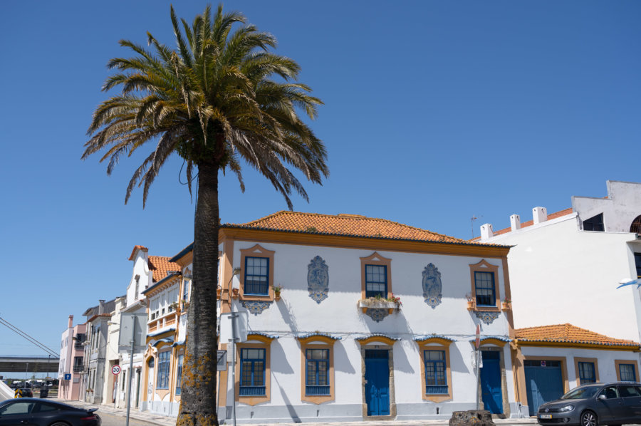 Maison et palmier à Aveiro au Portugal