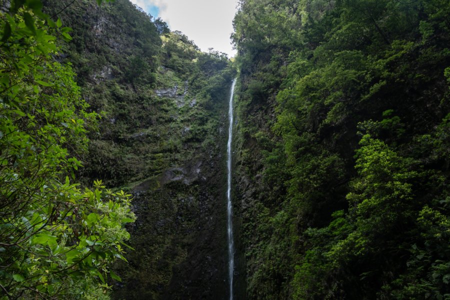 Cascade de la levada Caldeirao Verde à Madère