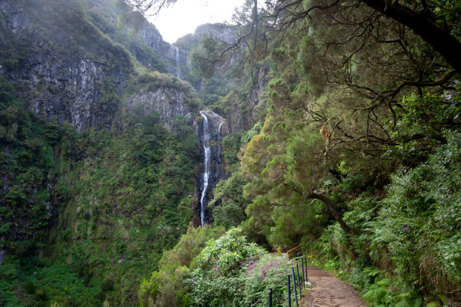 Cascade Risco et 25 fontes, randonnée sur la levada