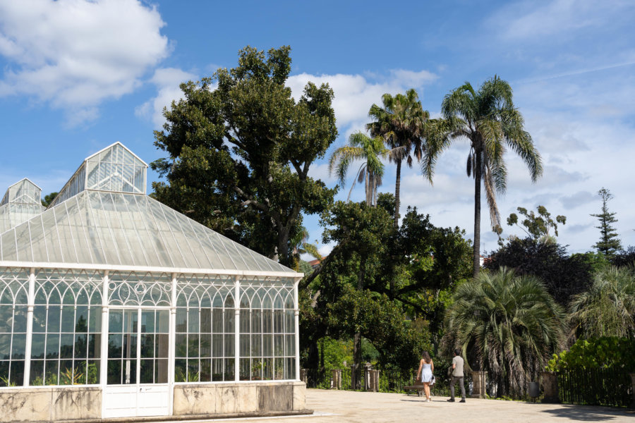 Jardin botanique de Coïmbre au Portugal