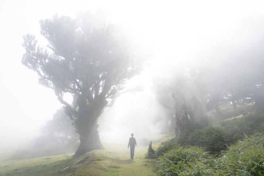 Randonnée à Fanal dans les nuages