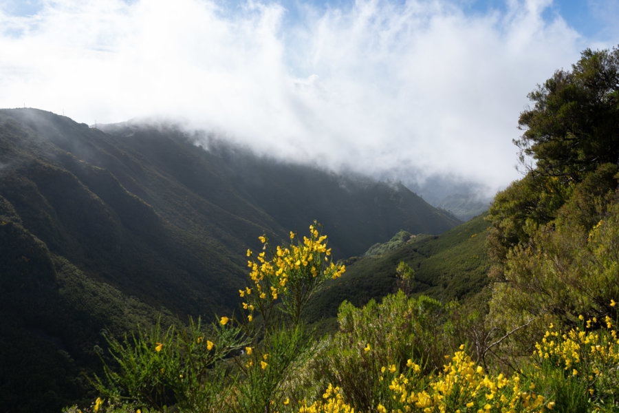 Randonnée de la Levada d'Alecrim, Rabaçal