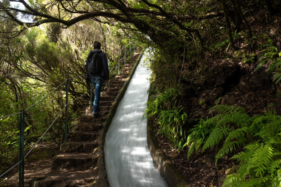 Randonnée sur la levada d'Alecrim à Madère