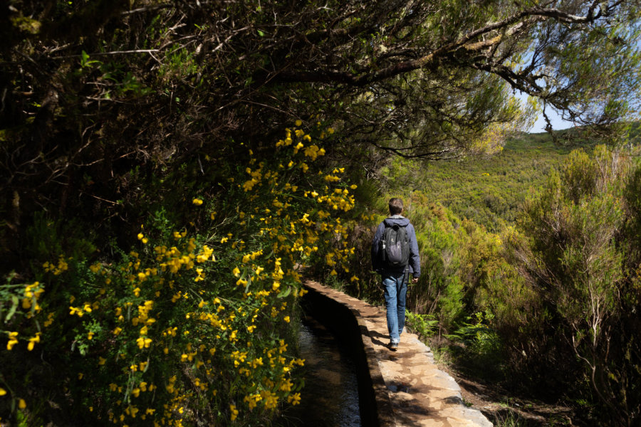 Randonnée sur la levada d'Alecrim à Madère