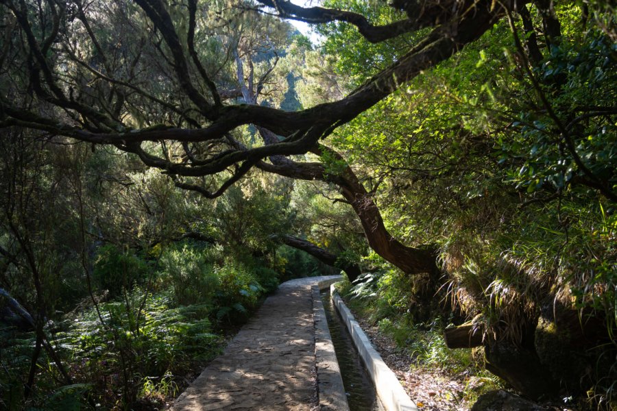 Randonnée de la levada des 25 fontes à Madère