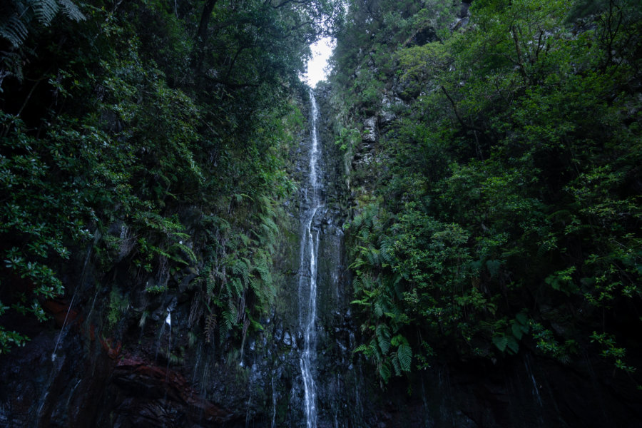 Cascades des 25 fontes à Madère