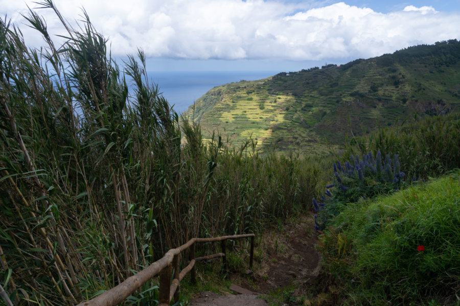 Randonnée à Achadas da Cruz, Madère