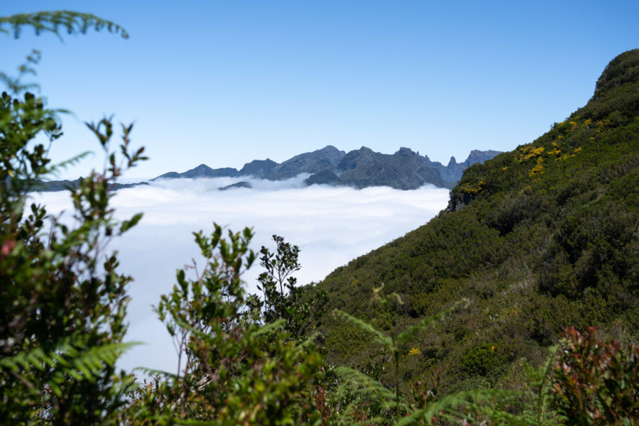 Randonnée à Bica da Cana, montagnes de Madère