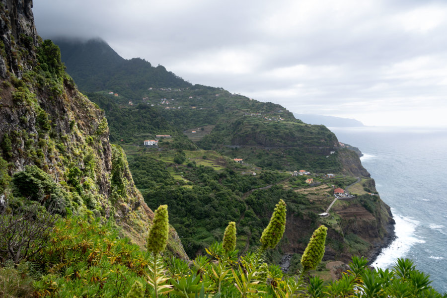 Randonnée sur la côte de Boaventura d'Arco Sao Jorge à Ponte Delgada