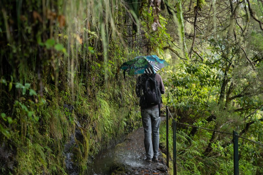 Randonnée sur la levada de la Caldeirão Verde à Madère