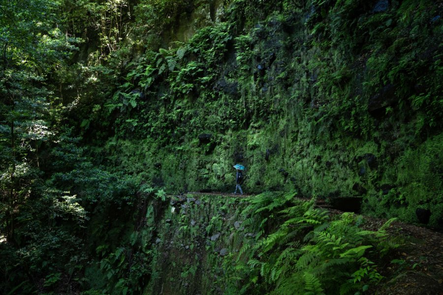 Randonneur sur la levada Ribeira da Janela à Madère