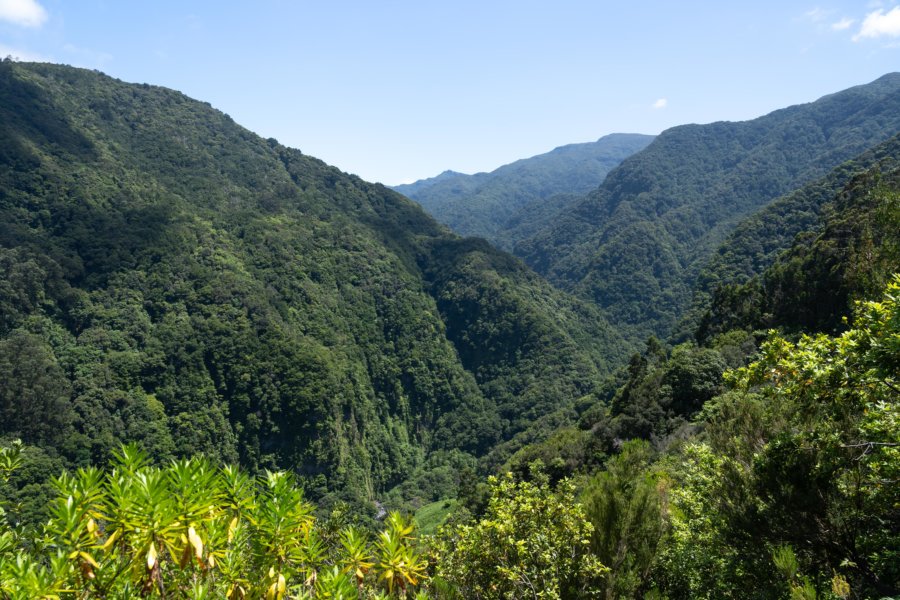 Randonnée sur la levada Ribeira da Janela à Madère