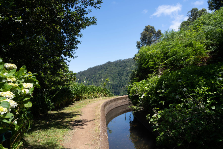 Randonnée sur la levada Ribeira da Janela à Madère