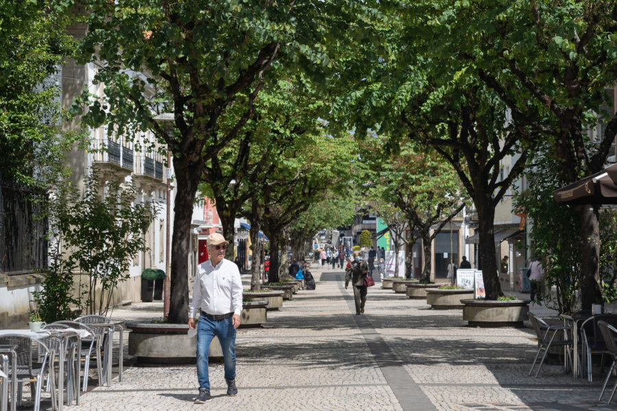 Rue piétonne de Braga avec des arbres