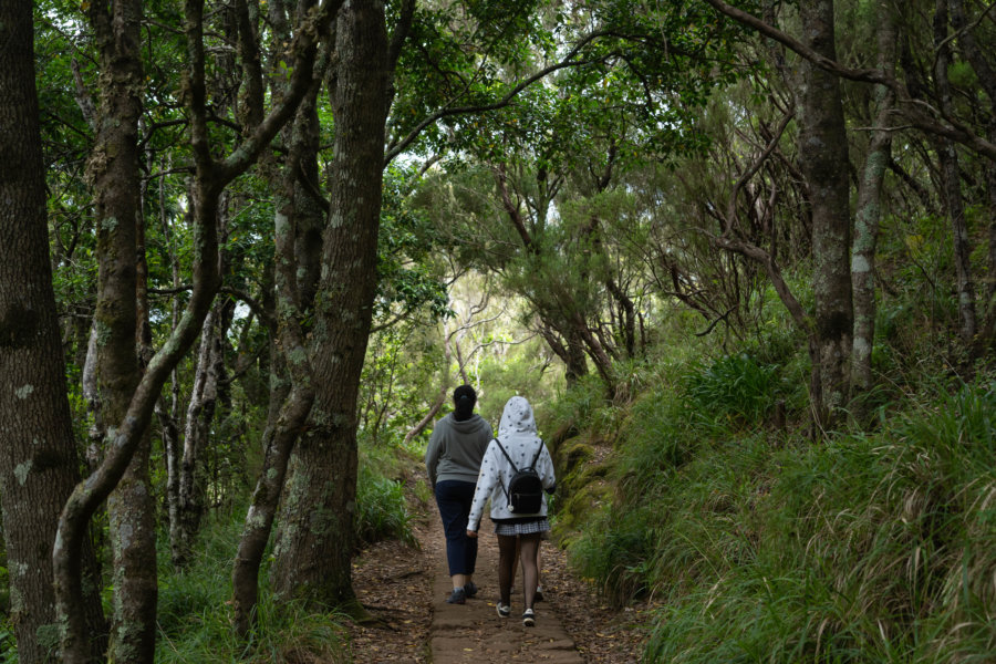 Sentier pour le belvédère des Balcoes à Ribeiro Frio