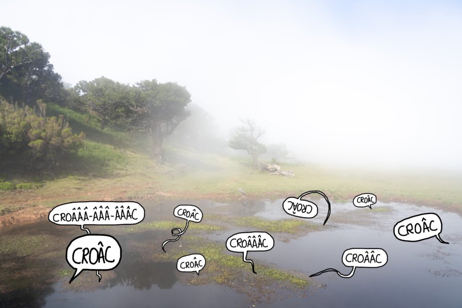 Lac dans la brume à Fanal, sur les collines de Madère