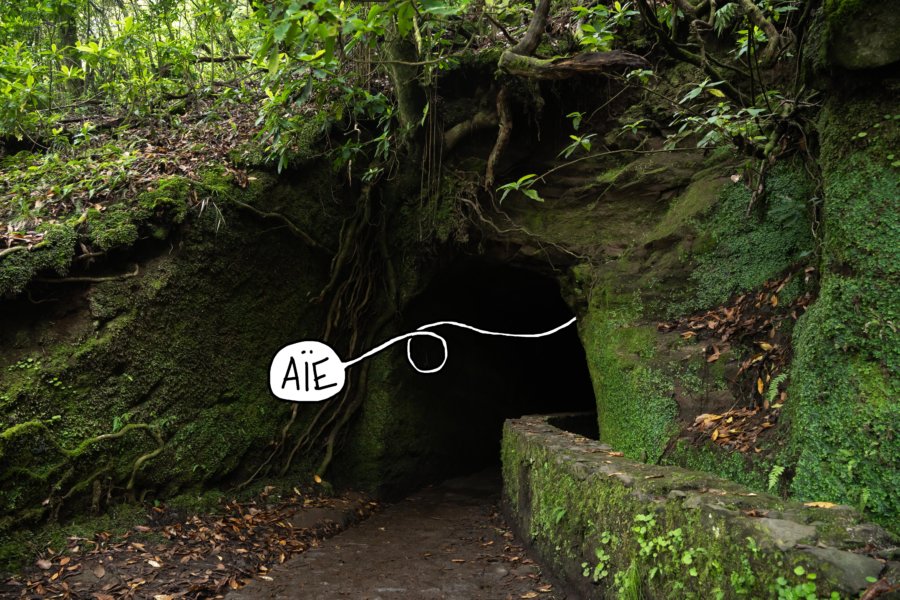 Tunnel sur la levada Caldeirao verde à Madère