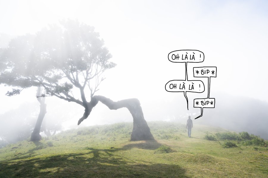 Randonnée dans le brouillard à Fanal, Madère