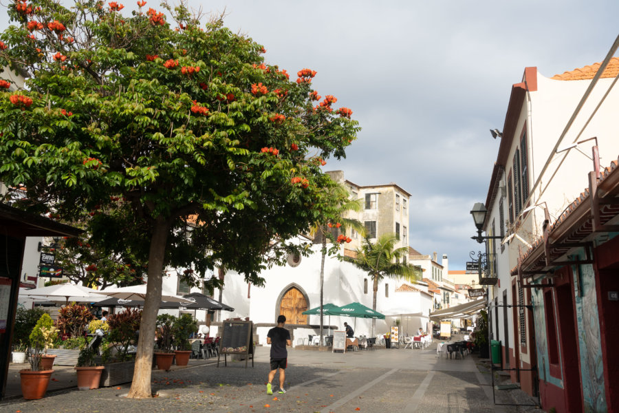 Vieille ville de Funchal à Madère