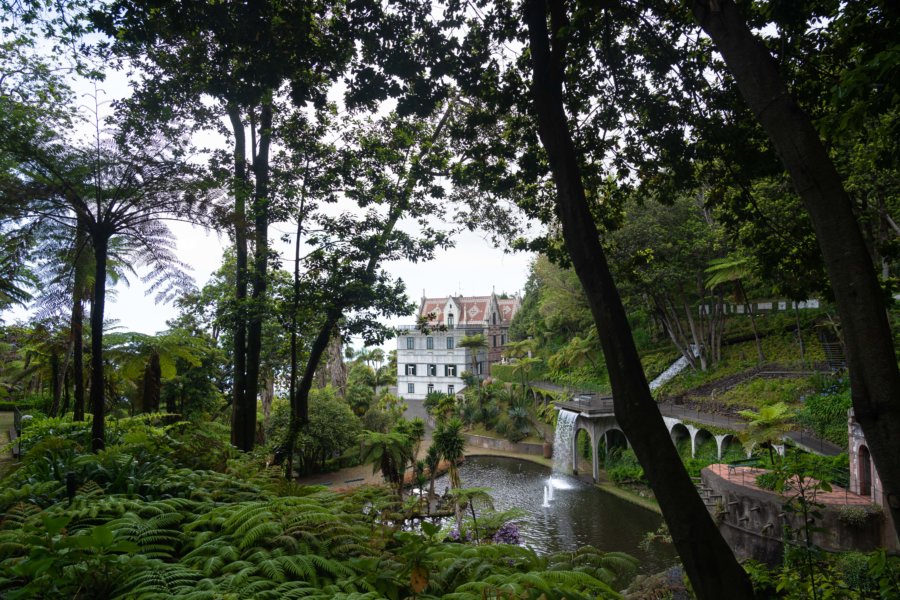 Visite du jardin tropical de Monte à Funchal