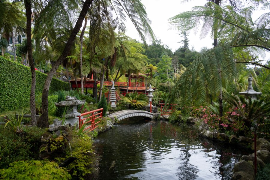 Jardin tropical du Monte Palace à Funchal