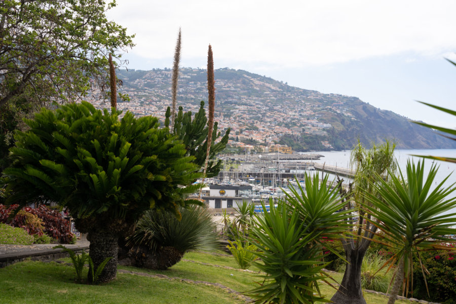 Visiter Funchal : le parc de Santa Catarina