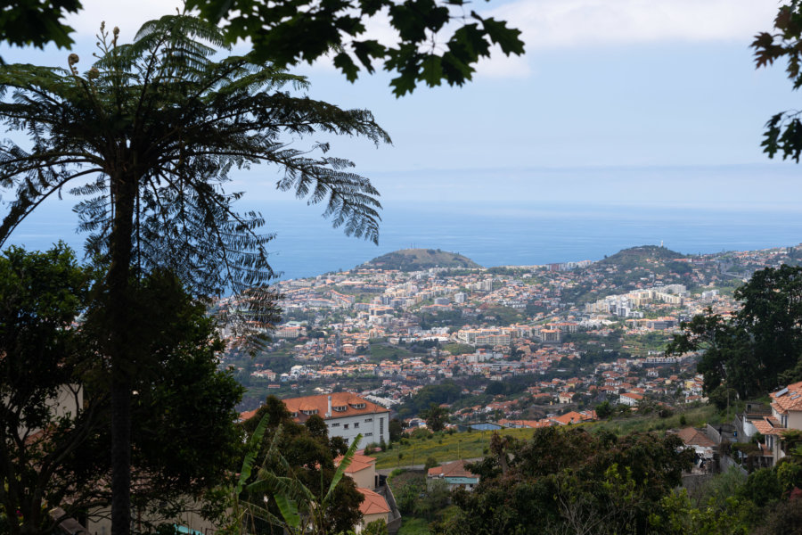 Vue sur Funchal depuis le jardin tropical de Monte