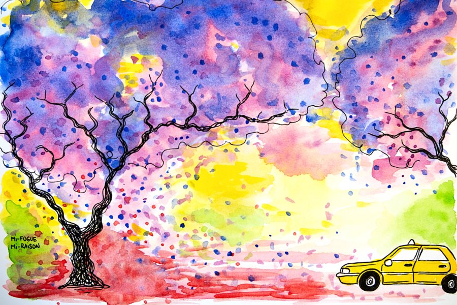 Aquarelle jacarandas