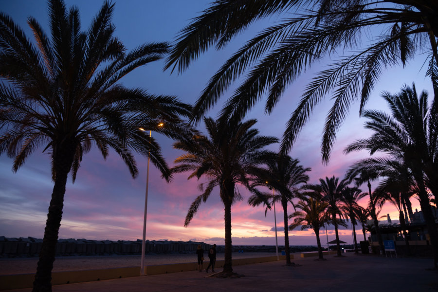 Coucher de soleil derrière les palmiers à Calheta