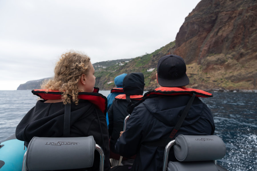 Excursion observation de dauphins et baleines à Madère