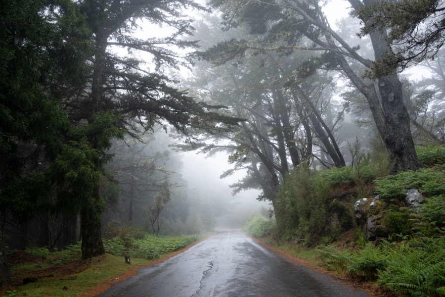 Route de montagne entre Ribeiro Frio et Poiso à Madère