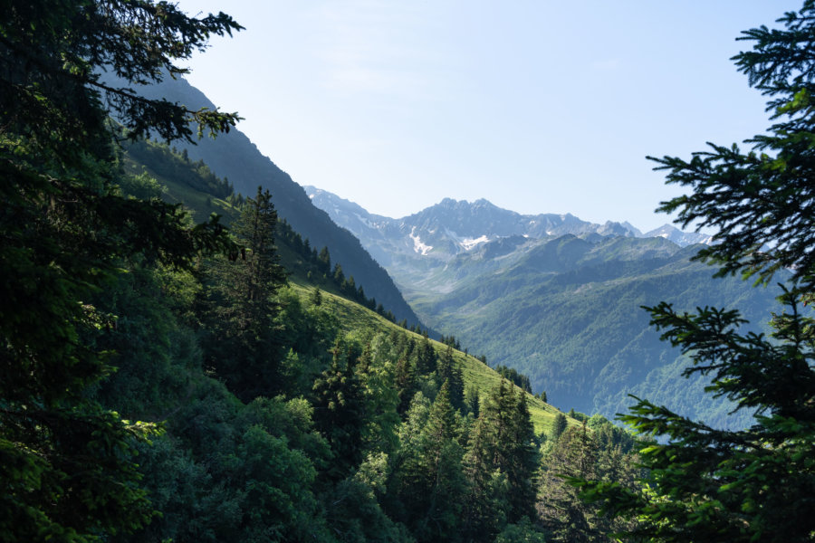 Randonnée sur le GR738 entre pierre du carré et aup bernard