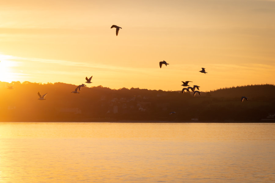 Coucher de soleil à Saint-Vaast-la-Hougue, Cotentin