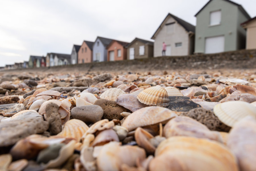 Plage de Ravenoville : coquillages et cabines