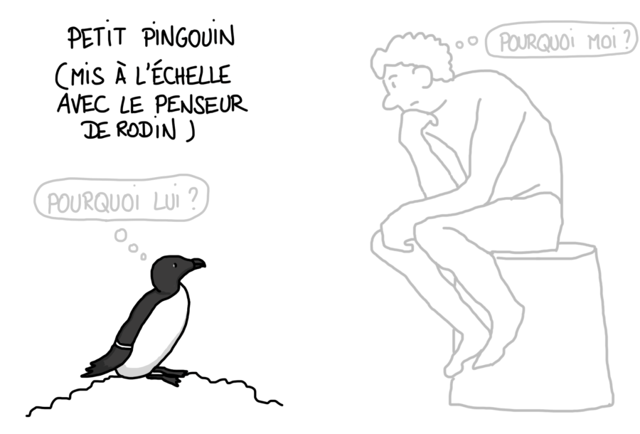 Dessin petit pingouin à l'échelle