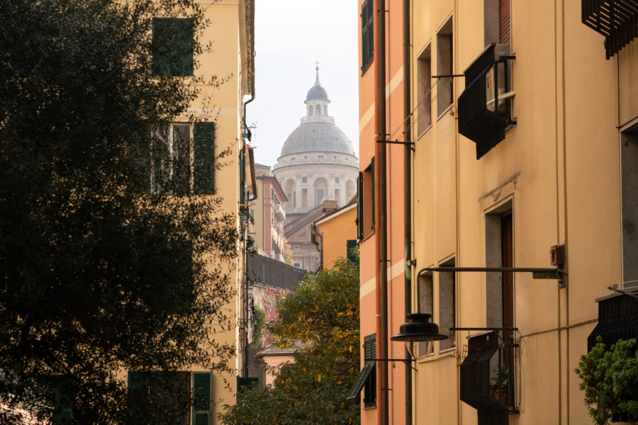 Rue colorée près de Piazza Sarzano à Gênes