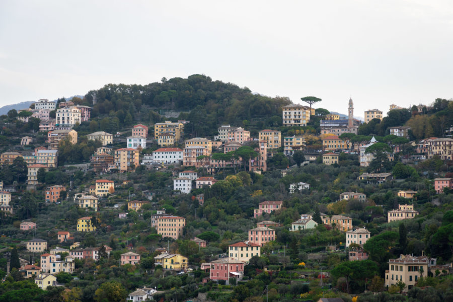 Maisons sur la colline à Camogli, Ligurie