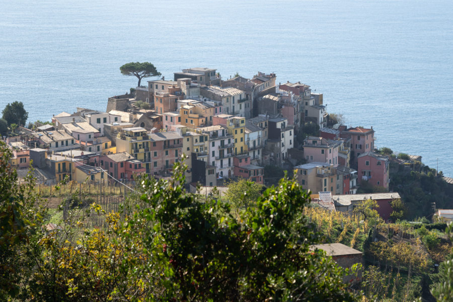 Randonnée vers Corniglia et ses maisons colorées