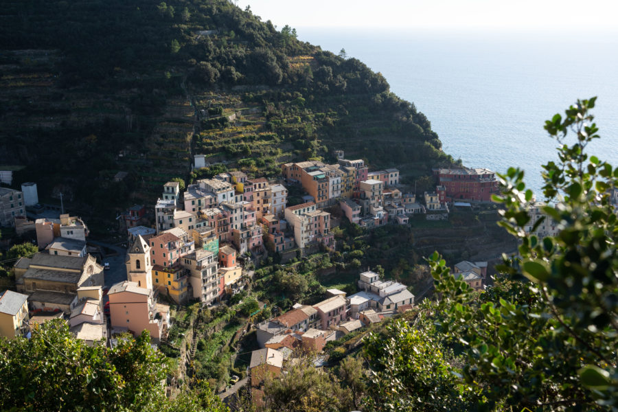 Village de Manarola dans les Cinque Terre