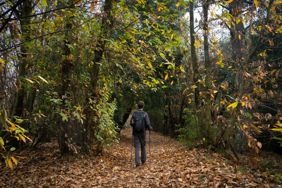 Randonnée en forêt près de Riomaggiore, Ligurie