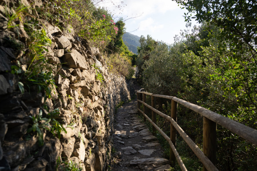 Randonnée dans les Cinque Terre entre Vernazza et Corniglia